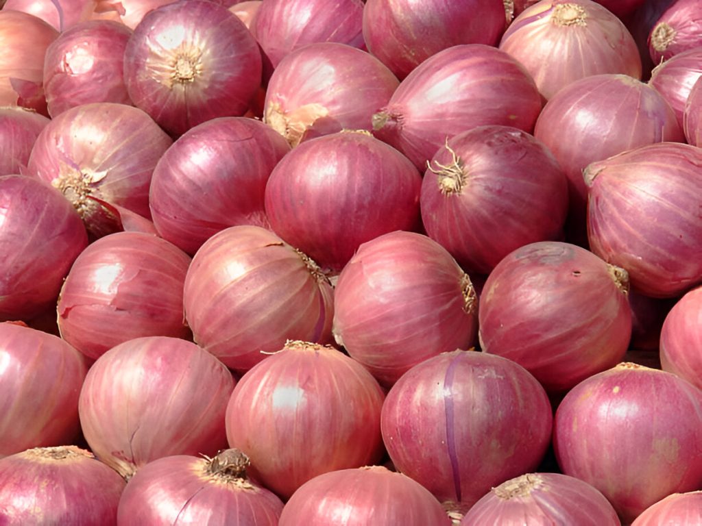 fresh Indian onions